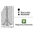 Museo Archeologico - Arsago Seprio