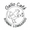 Gallo Cafè
